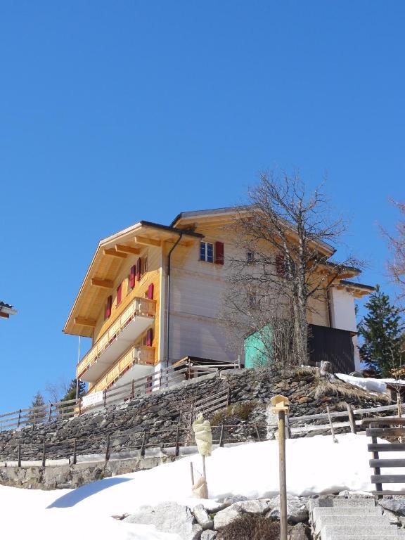 Chalet Schoenbuehl Mürren Exterior foto