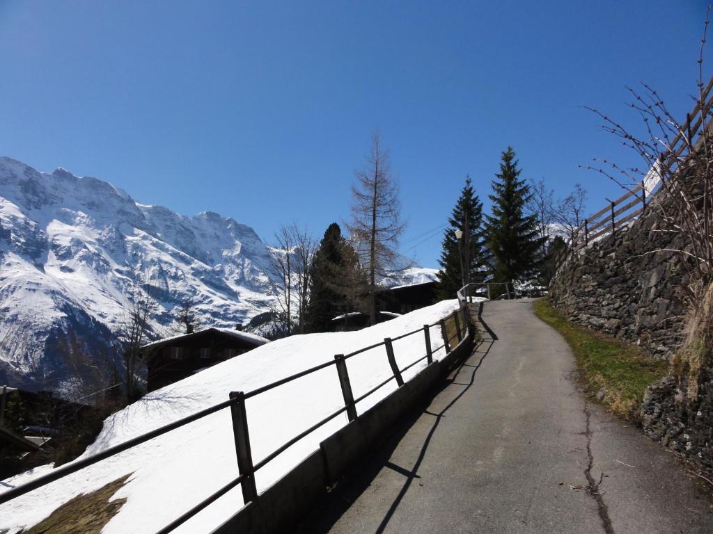 Chalet Schoenbuehl Mürren Exterior foto