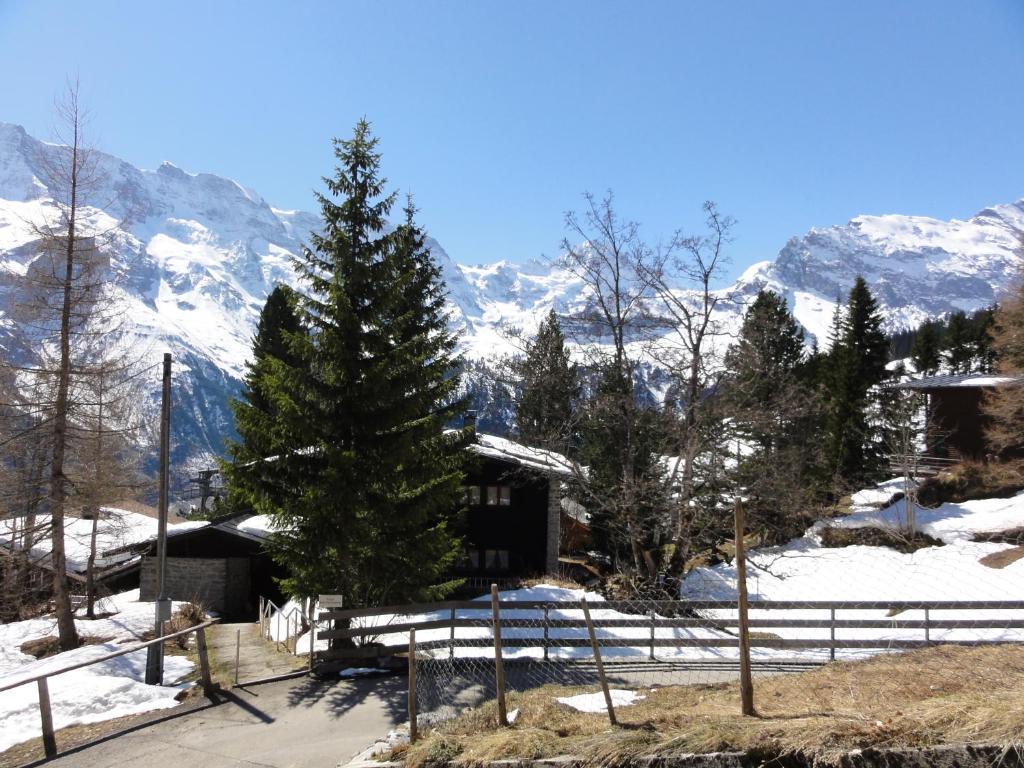 Chalet Schoenbuehl Mürren Exterior foto