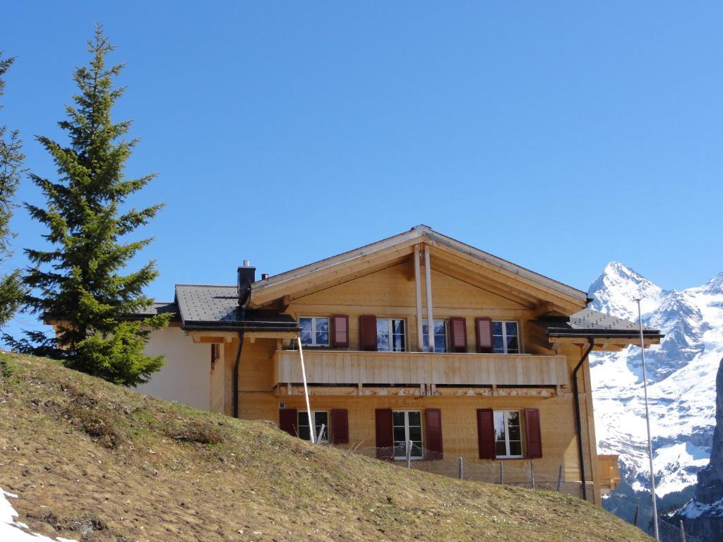 Chalet Schoenbuehl Mürren Exterior foto
