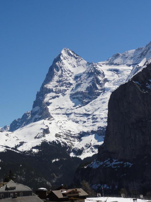 Chalet Schoenbuehl Mürren Exterior foto