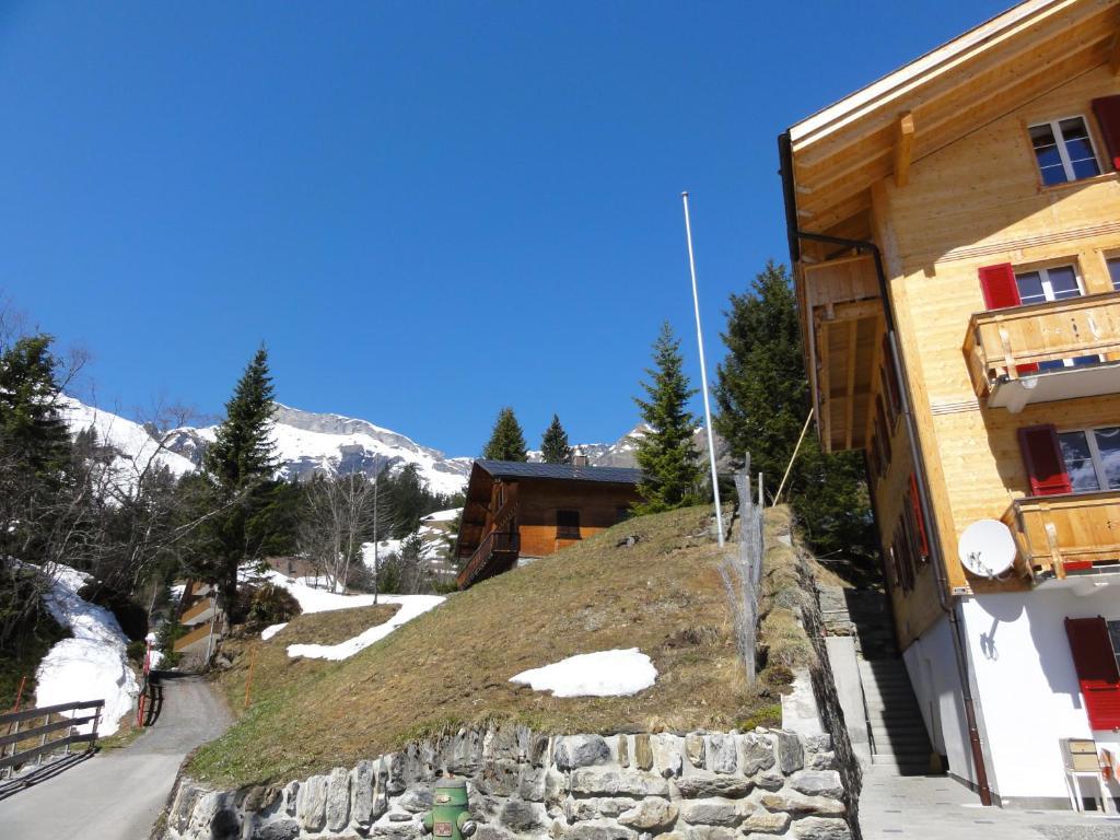 Chalet Schoenbuehl Mürren Exterior foto
