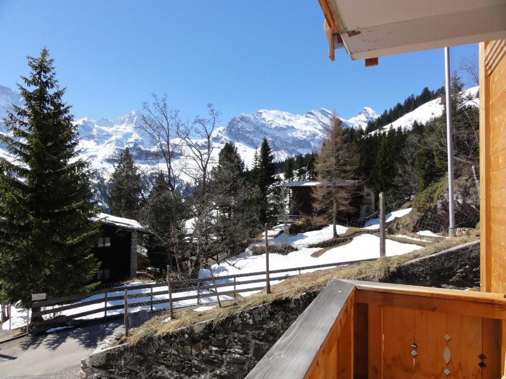 Chalet Schoenbuehl Mürren Exterior foto