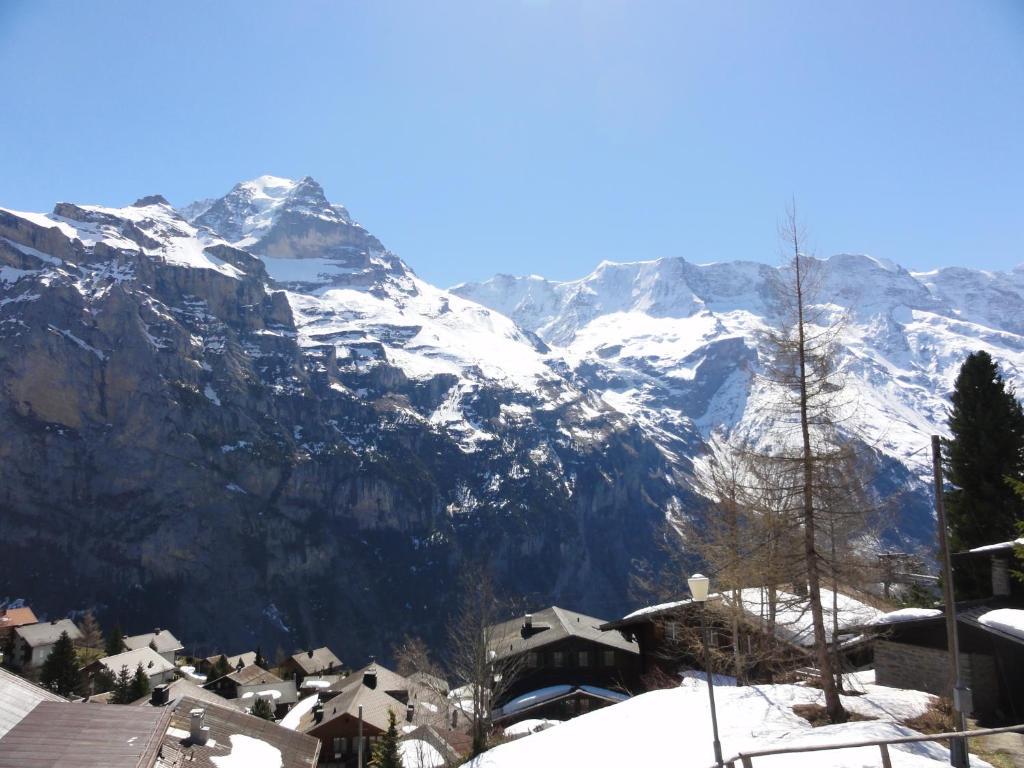 Chalet Schoenbuehl Mürren Exterior foto
